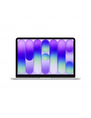 mbn-13-8gb-256gb-argento-1.jpg