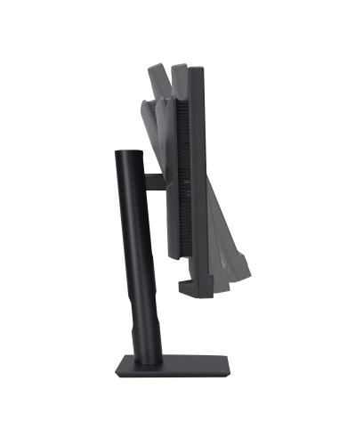 asus-monitor-27-led-ips-16-9-4k-uhd-proart-pivot-dp-hdmi-usb-c-calman-verified-multimediale-10.jpg