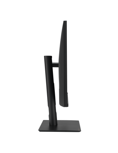 proart-315-4k-ips-19.jpg