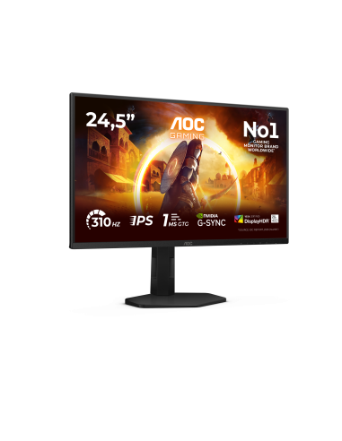 monitor-25-ips-300hz-gaming-reg-2.jpg