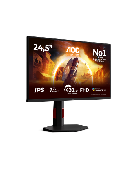 monitor-245-fast-ips-reg-alt-2.jpg