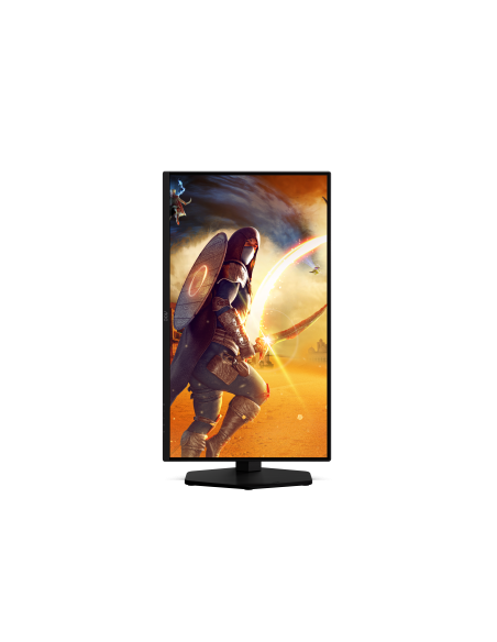 monitor-245-fast-ips-reg-alt-13.jpg