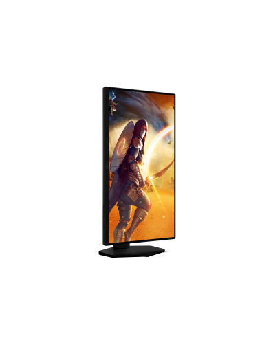 monitor-245-fast-ips-reg-alt-14.jpg
