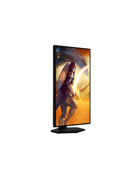 monitor-245-fast-ips-reg-alt-14.jpg