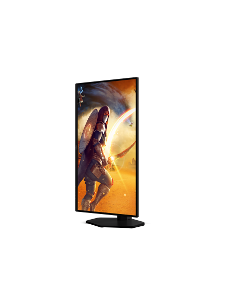 monitor-245-fast-ips-reg-alt-15.jpg