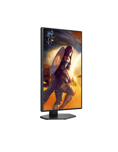monitor-245-ips-2560x1440-reg-alt-10.jpg