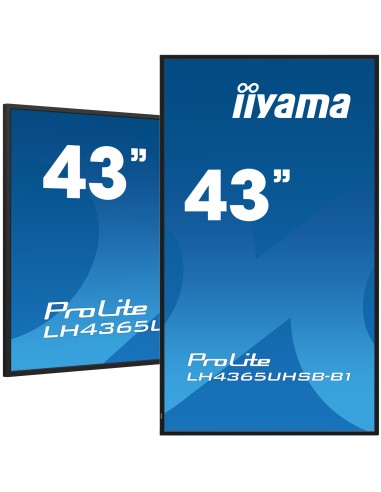 prolite-43in-3840x2160-uhd-ips-panel-1.jpg