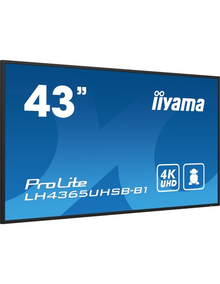 prolite-43in-3840x2160-uhd-ips-panel-4.jpg