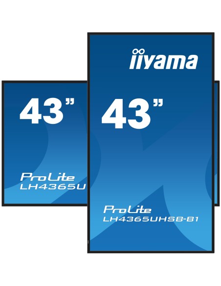 prolite-43in-3840x2160-uhd-ips-panel-5.jpg