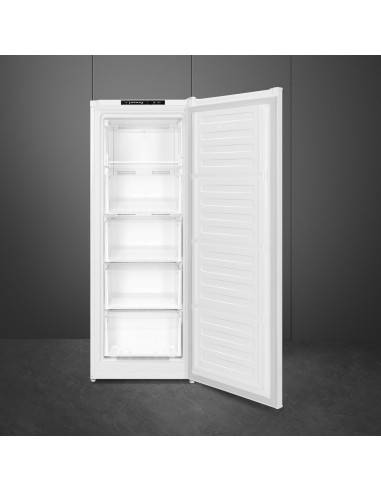 cong-vert-177lt-h146-nf-e-5cas-bianco-2.jpg
