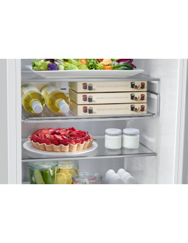 frigo-combinato-incas-264lt-tnf-l54-h177-nel-c-cern-a-traino-samsung-15.jpg