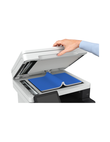 imageforce-1440-10.jpg