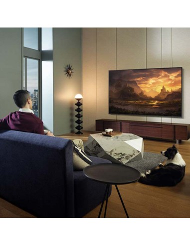 samsung-lcd-qe-75q60-cauxzt-qled-4k-new-75-qled-quantum-processor-lite-4kquantum-hdr-1000-8.jpg