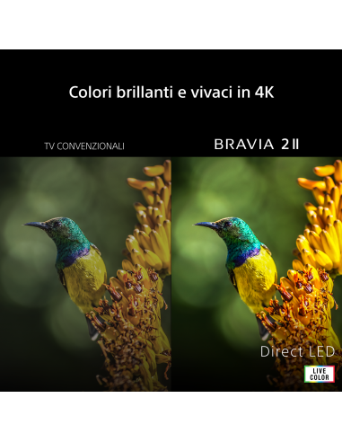 tv-led-55uhd-4k-dvbt2-s2-smart-google-tv-2.jpg