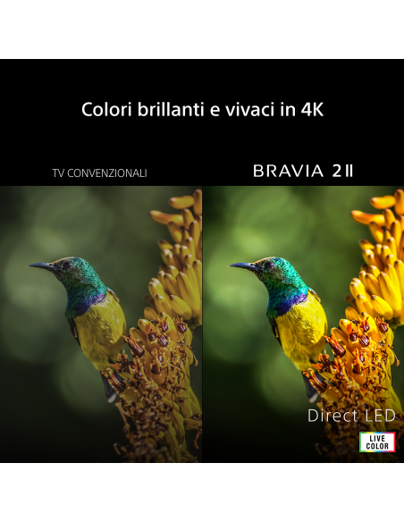 tv-led-55uhd-4k-dvbt2-s2-smart-google-tv-2.jpg