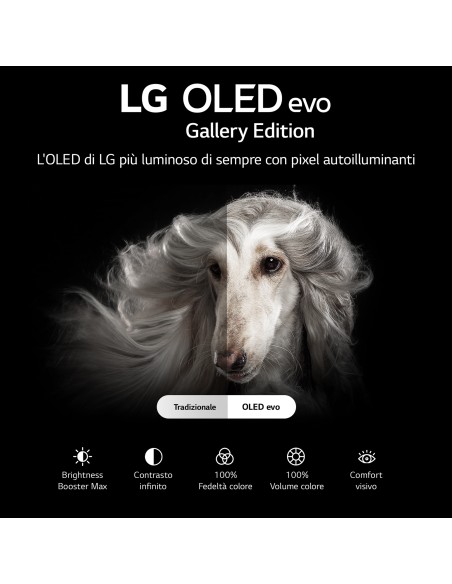 lg-oled-65g26-uhd-hdr-smart-lg-tv-oled-evo-galley-65-proces-a9-gen5-n-4-hdmi-21-4.jpg