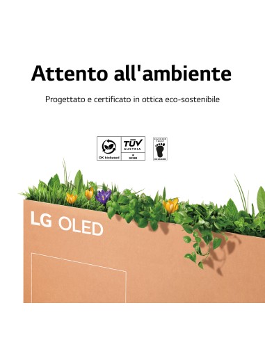 lg-oled-65g26-uhd-hdr-smart-lg-tv-oled-evo-galley-65-proces-a9-gen5-n-4-hdmi-21-11.jpg