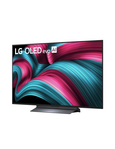 lg-oled-48c55la-uhd-48-processore-a9-gen8-con-ai-oled-evo-19.jpg