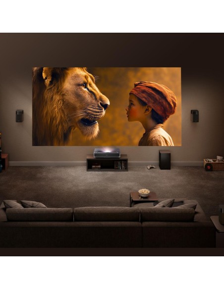 hisense-lcd-100e7nq-100-uhd-qled-144hz-smartdolby-vision-atmos-13.jpg