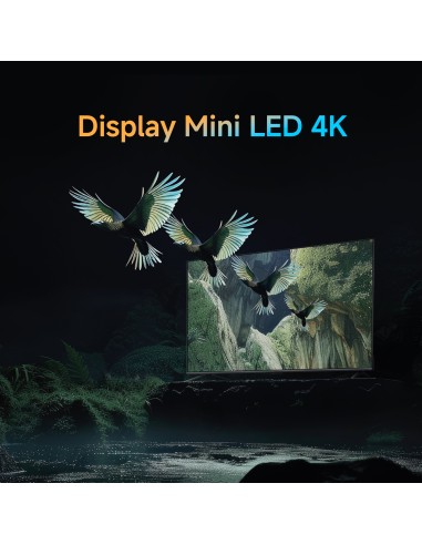 tv-55-miniled-s-2.jpg