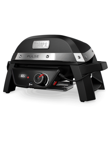 pulse-1000-2.jpg