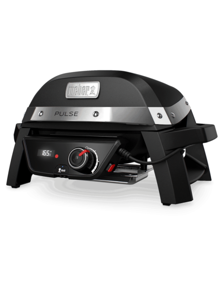 pulse-1000-2.jpg
