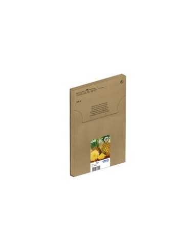 604-pineapple-multipack-4-colours-easymail-ink-1.jpg