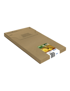 604-pineapple-multipack-4-colours-easymail-ink-1.jpg 2