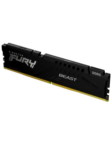 32g-6400-ddr5-fury-beast-black-expo-1.jpg