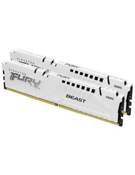 32gb-5600-ddr5-dimmkit2-f-b-w-xmp-1.jpg