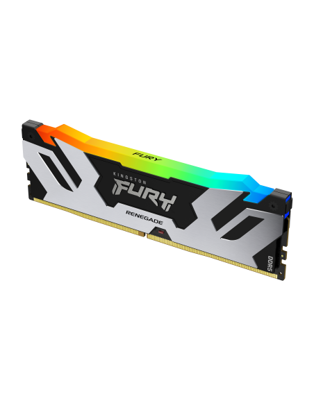 24gb-8000-ddr5-renegade-rgb-silver-2.jpg