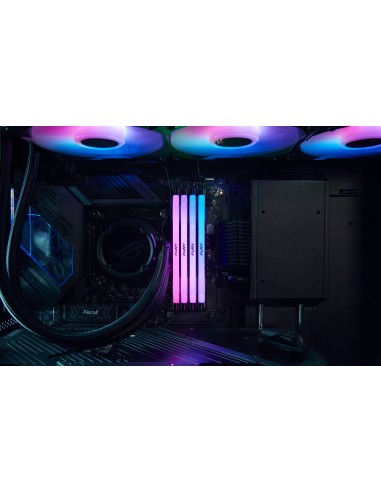 24gb-8000-ddr5-renegade-rgb-silver-17.jpg