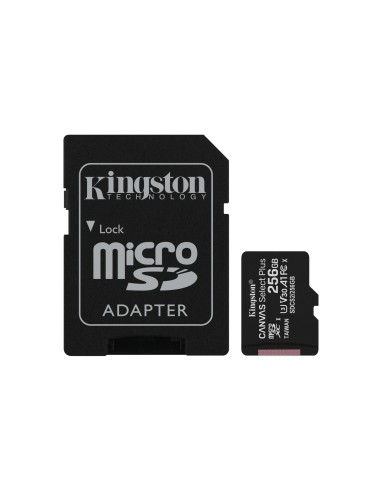 256gb-micsd-canvasselectplusadp-sdcs2-256gb-1.jpg