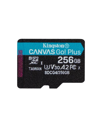 256gb-microsdxc-canvas-go-plus-gen4-1.jpg