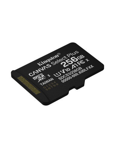 kingston-256gb-gen3-ad-4.jpg