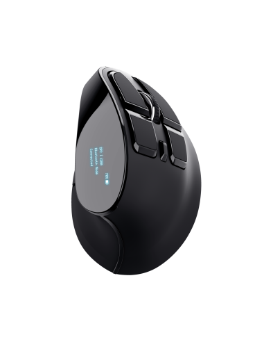 trust-mouse-wireless-woxx23731-mouse-wireless-ergonomico-ricaricabile-n-3.jpg