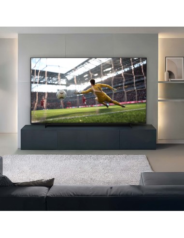 tv-65-mini-led-4k-9.jpg