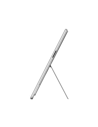 pro12th-13in-m10-16-256-plat-4.jpg