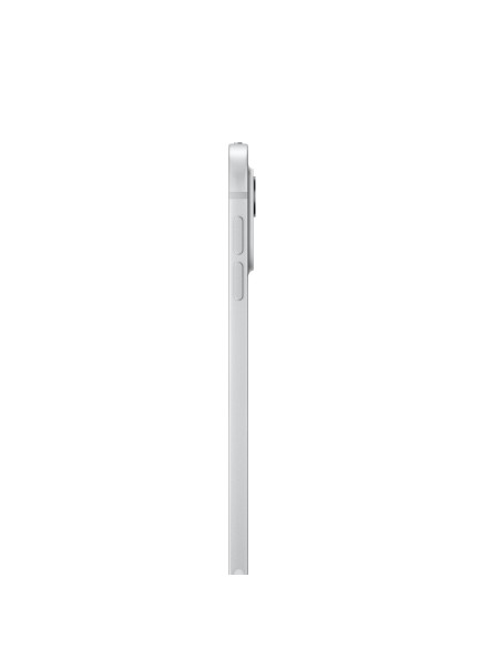 apple-11-inch-ipad-pro-wifi-256gb-with-standard-glass-silver-2.jpg