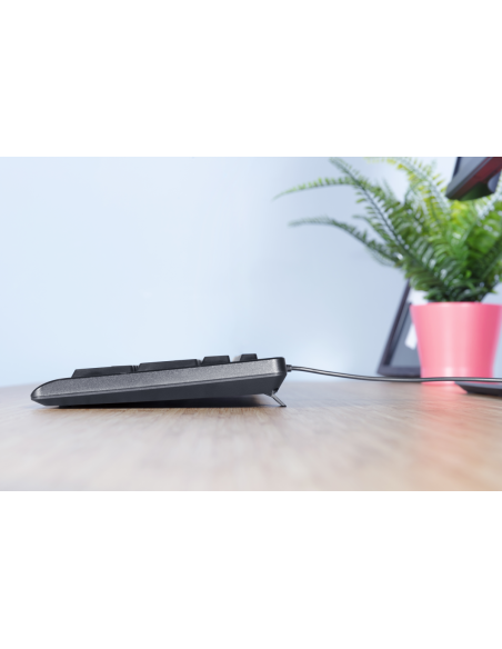 trust-keyboard-primo-wired23882-primo-keyboard-5.jpg