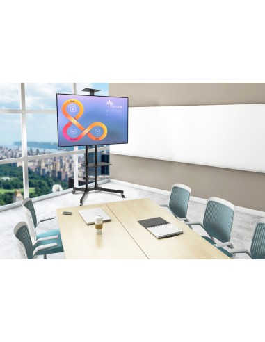 mobiletto-portatile-plasma-m1700-plasma-m1700e-7.jpg